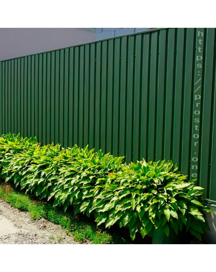 Профлист ПП-20 с покрытием полиэстер