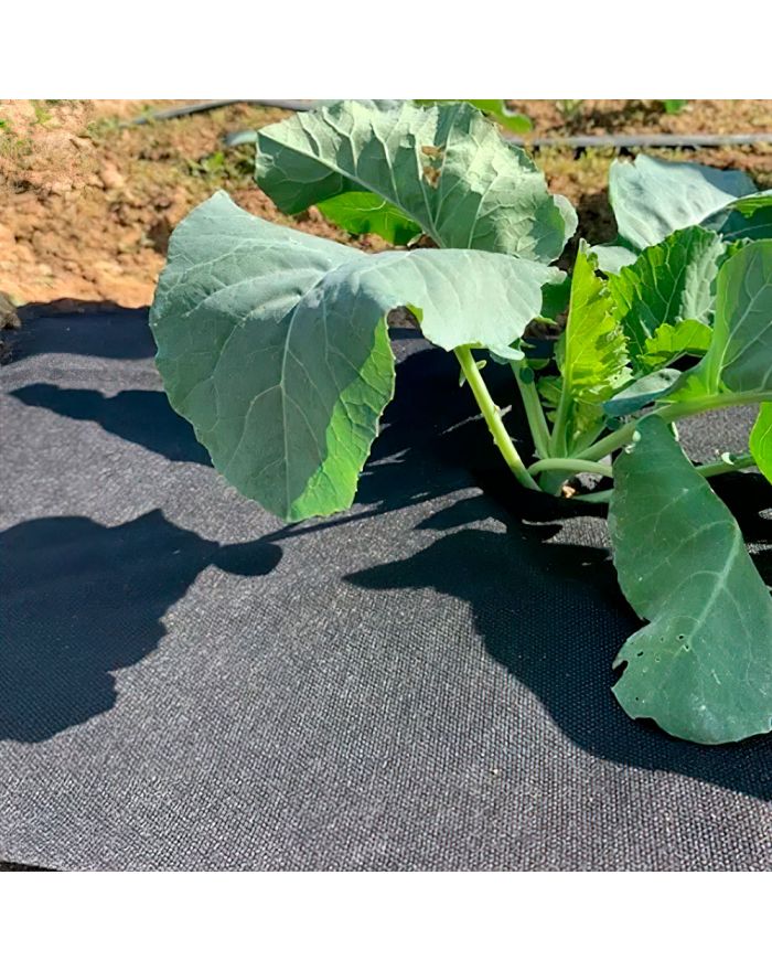 Спанбонд черный 50 гр/м2, 3,2х150 м