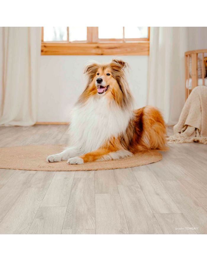 Бытовой линолеум Sinteros BONUS