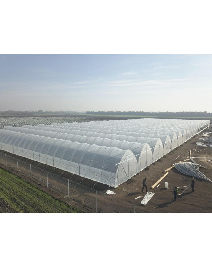 Пленка 150 мкм 12х50 м тепличная, многослойная  POLITIV 